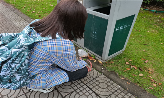20210427354988321.jpg 图一.jpg