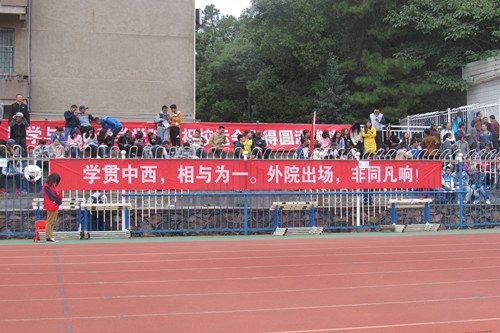 1477840516420764.jpg 文鑫3.JPG