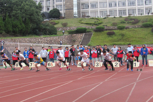 1477840499194041.jpg 文鑫2.JPG